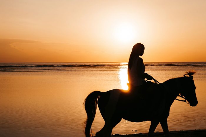 silhouette-young-woman-riding-horseback-beach-during-golden-colorful-sunset-near-sea